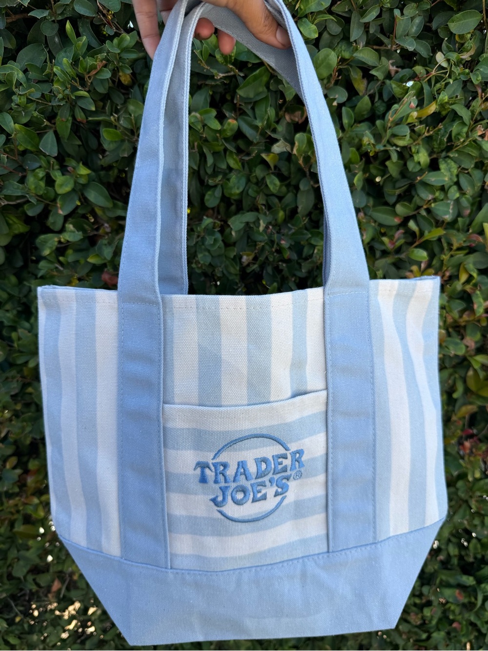 Light Blue Stripe Canvas Tote Bag